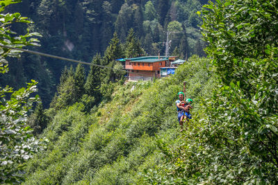 People on road amidst trees in forest