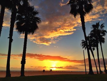 Low angle view of silhouette palm trees at beach during sunset