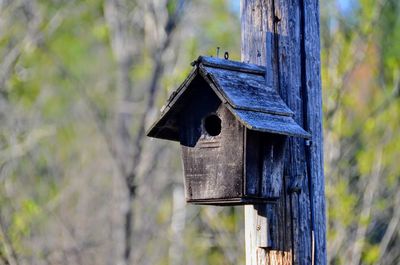 Low angle view of bird house on wooden post