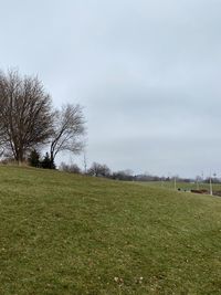 Trees on field against sky