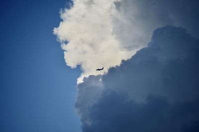 Low angle view of airplane flying in sky