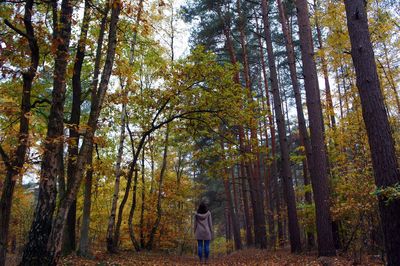 Rear view of man walking in forest