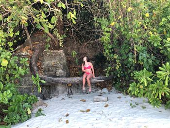 Full length of woman in bikini sitting on log