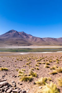 Scenic view of landscape and mountains against clear blue sky