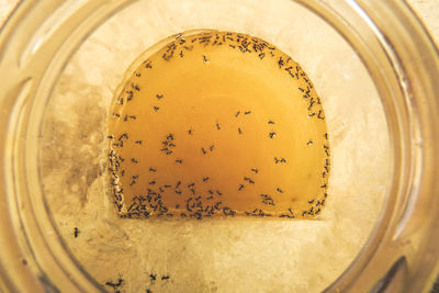 Directly above shot of bread in jar