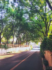 Empty road along trees