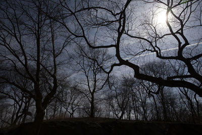 Low angle view of silhouette bare trees on field against sky