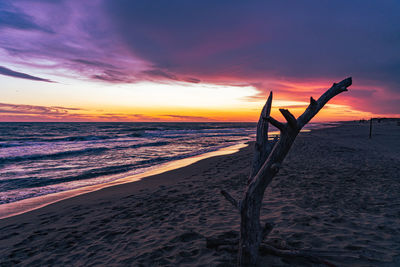 Scenic view of beach against sky during sunset