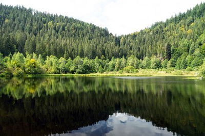 Scenic view of lake and trees against sky