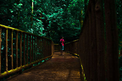 Rear view of man walking on footbridge in forest