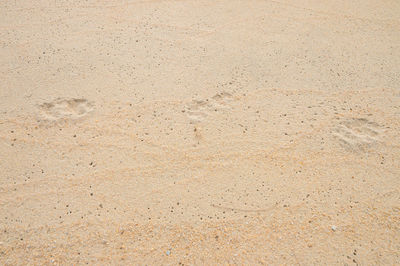 Footprint at beach