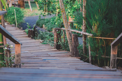 View of empty footpath in forest