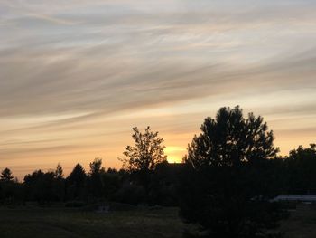 Silhouette trees on field against sky during sunset