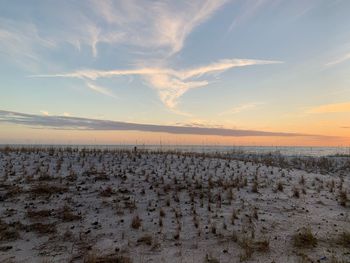 Scenic view of snowy field against sky during sunset