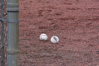 High angle view of baseballs on field