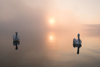 Rear view of men standing on lake against sky during sunset