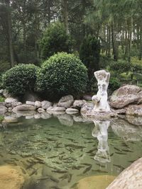 Statue by lake in forest