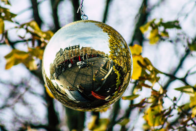 Low angle view of crystal ball hanging on tree