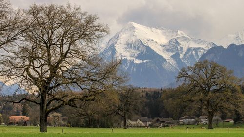 Scenic view of snowcapped mountains against sky