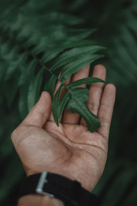 Cropped hand touching plant