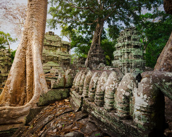 Old ruins in forest