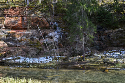 Stream flowing through rocks in forest