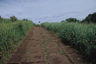 Rear view of girl walking in farm against sky