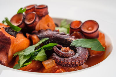 Stewed octopus with parsley and tomatoe sauce close-up