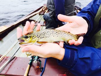 Midsection of man holding fish in water