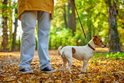 Low section of man with dog on field