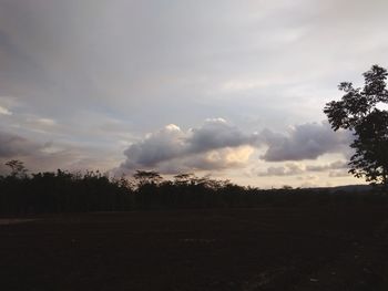 Silhouette trees on field against sky during sunset