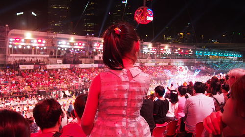 Crowd at music concert