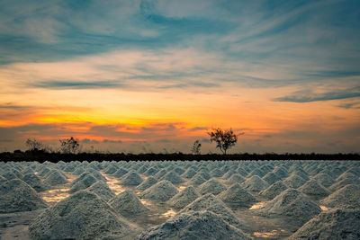 Salt farm in the morning with sunrise sky. organic sea salt. evaporation sea water. 