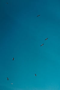 Low angle view of birds flying in sky