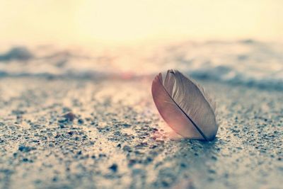 Surface level of sand on beach