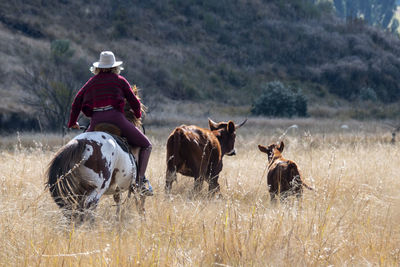 Rear view of woman riding horse on field