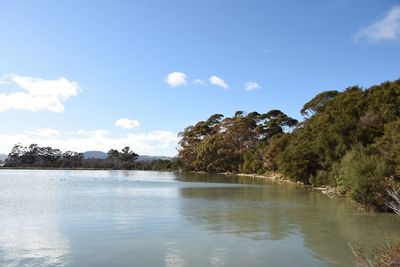 Scenic view of lake by trees against sky