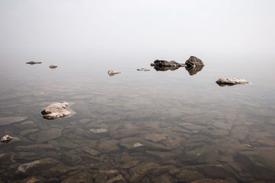 Aerial view of rocks in lake