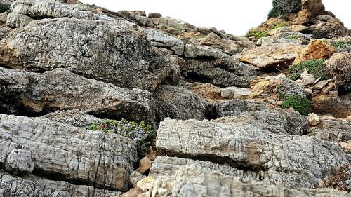 Low angle view of stone wall