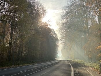 Empty road amidst trees