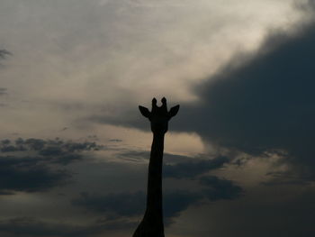 Low angle view of silhouette hand against sky at sunset