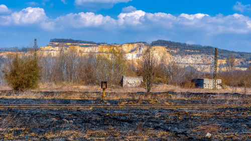 Trees on field against sky during winter