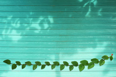 Close-up of fruits on table against wall