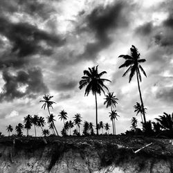 Low angle view of tree against cloudy sky