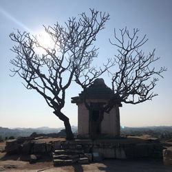 Bare tree against historic building