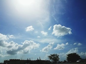 Low angle view of trees against blue sky