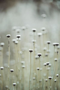 Close-up of water drops on metal