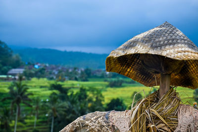 Close-up of scarecrow at farm against sky