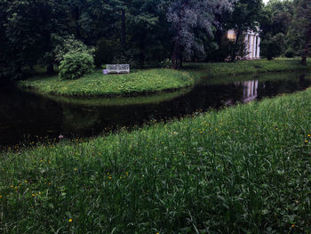 Scenic view of grassy field by lake