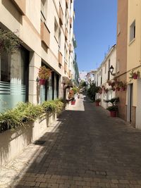 Empty alley amidst buildings in city
